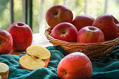 视觉小说《宝石少女 1st.cut》9月12日发售 支持中文